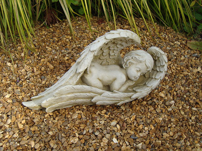 Dreaming Cherub ADW6998