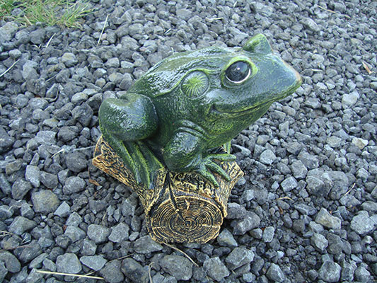 Frog on Log GF8000