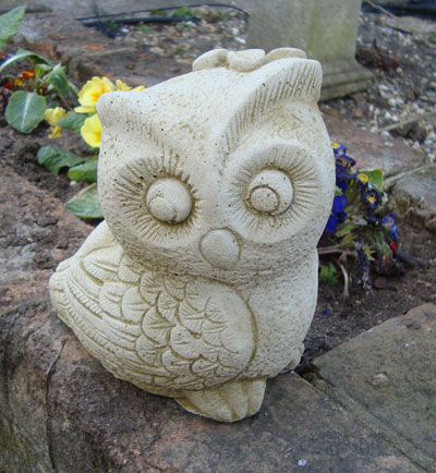 Sm Owl (G) ADW8022