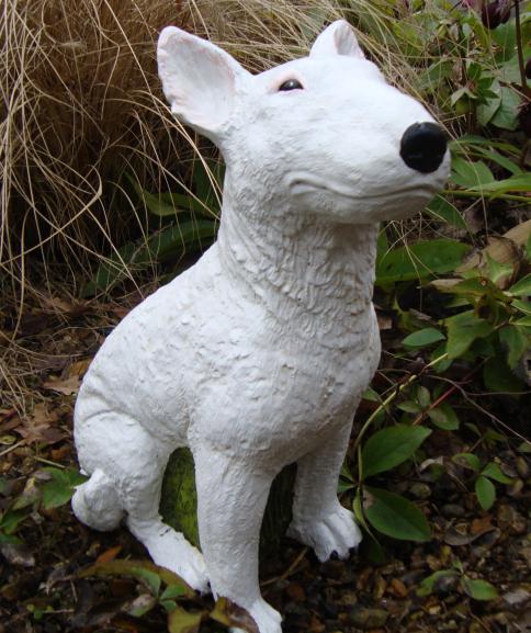 English Bull Terrier GF7005