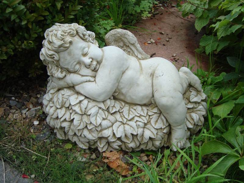 Sleeping Angel ADW7002