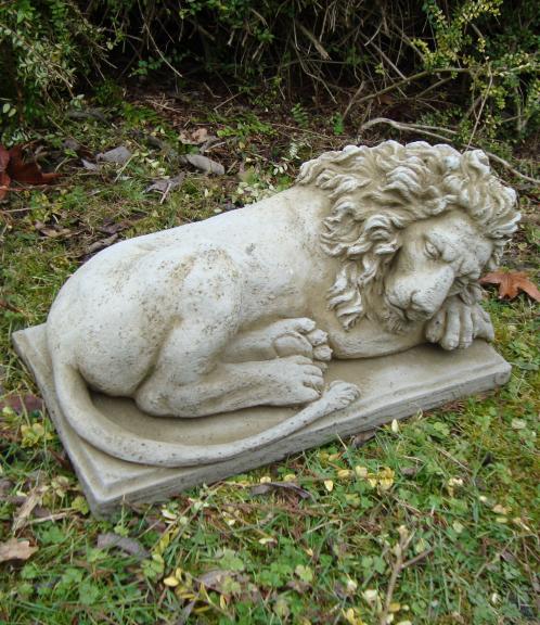 Sleeping Lion ADW8000